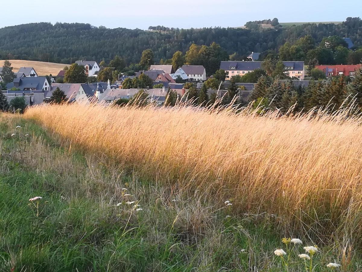Ferienwohnung Rauscher Altenberg Eksteriør bilde